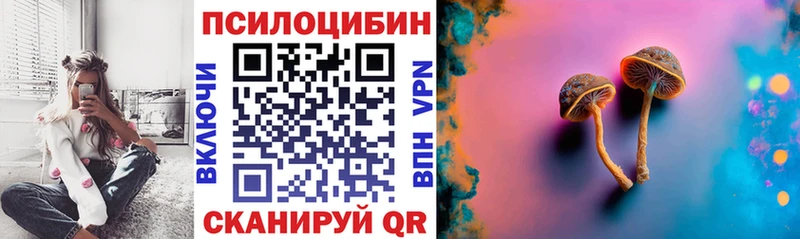 Галлюциногенные грибы Psilocybe  хочу   Калач 